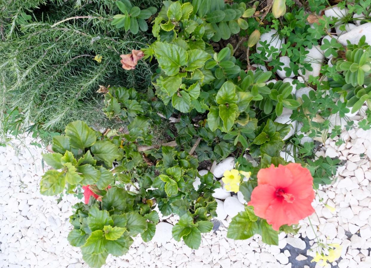 B&B Casa Louisa, Torre Del Mar- Valleniza 벨레즈 말라가 외부 사진